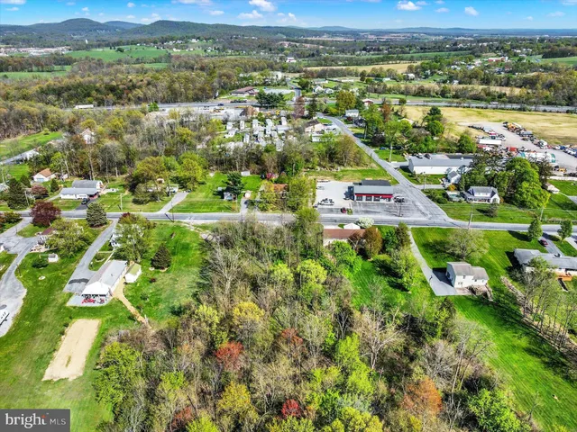 an aerial view of residential houses with outdoor space and trees
