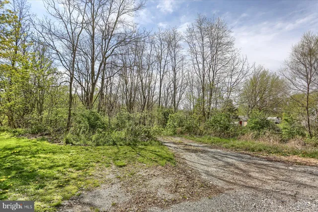 a view of outdoor space and trees