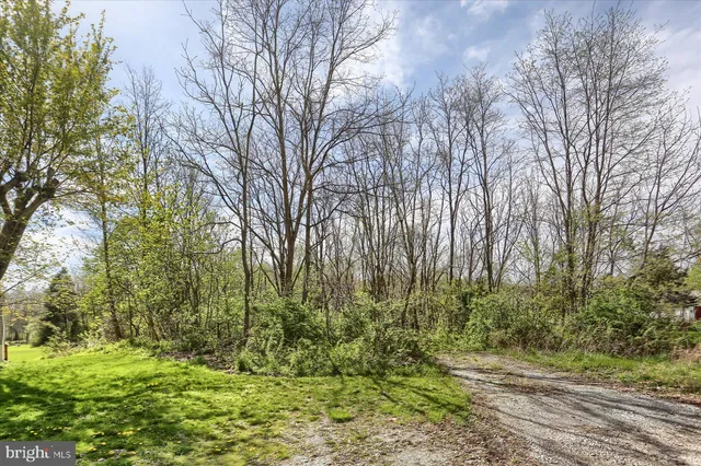 a view of backyard with green space