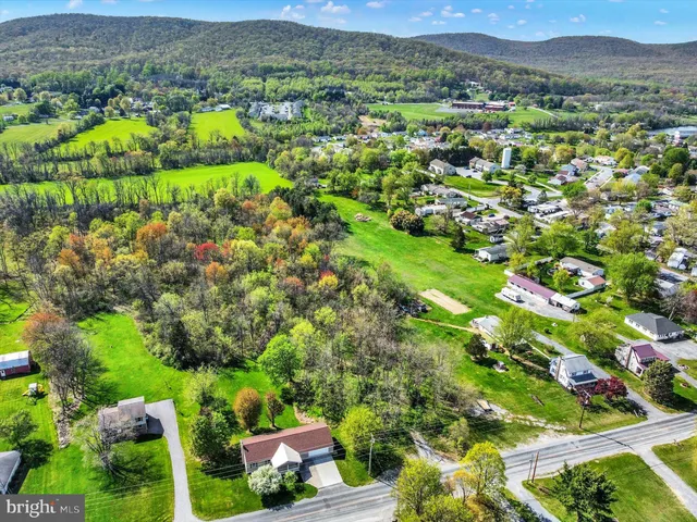 a view of a lush green field with lots of bushes