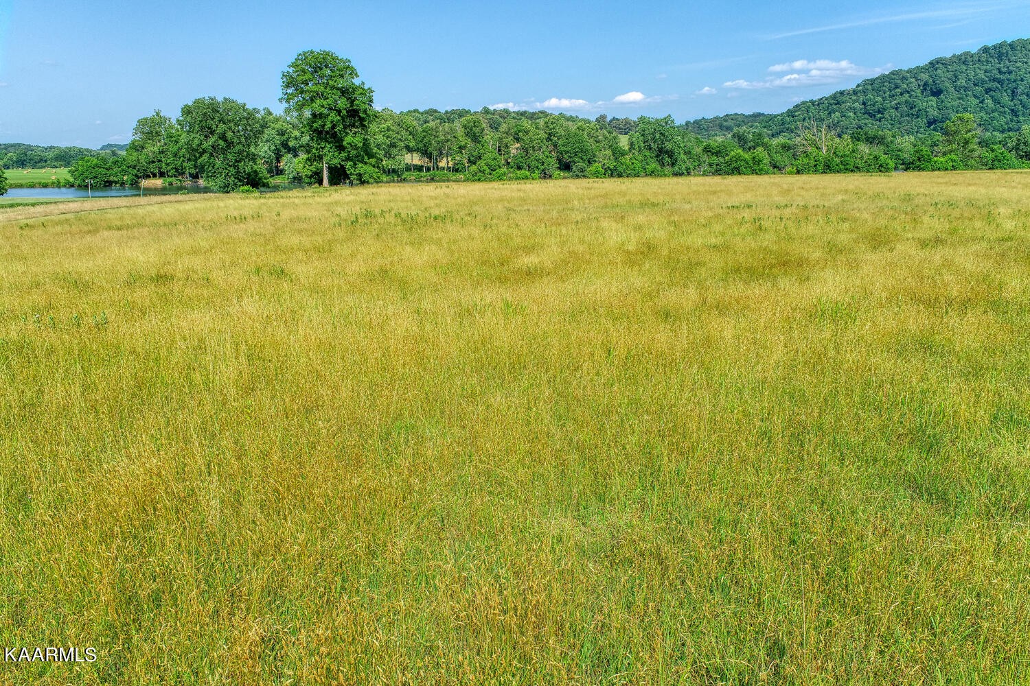 0 Richards Road Rogersville, TN 37857 - Photo 1 of 30 Gallery Image 1