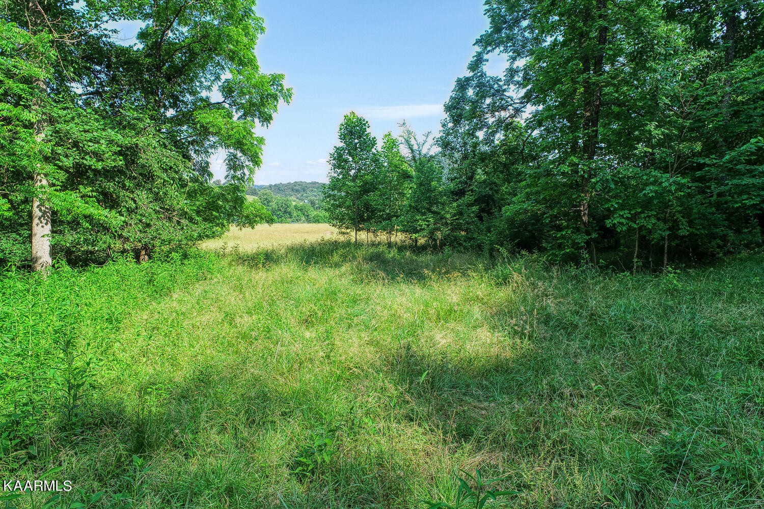 0 Richards Road Rogersville, TN 37857 - Photo 11 of 30 Gallery Image 11