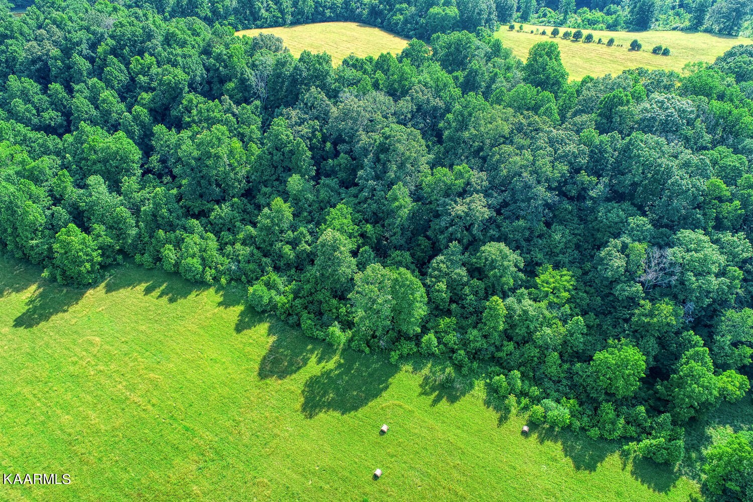 0 Richards Road Rogersville, TN 37857 - Photo 18 of 30 Gallery Image 18