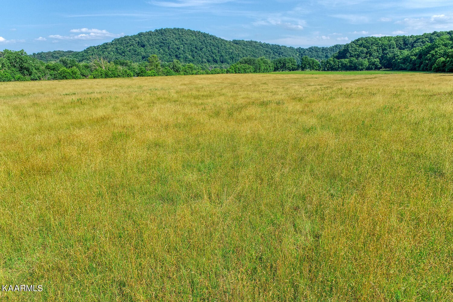 0 Richards Road Rogersville, TN 37857 - Photo 24 of 30 Gallery Image 24