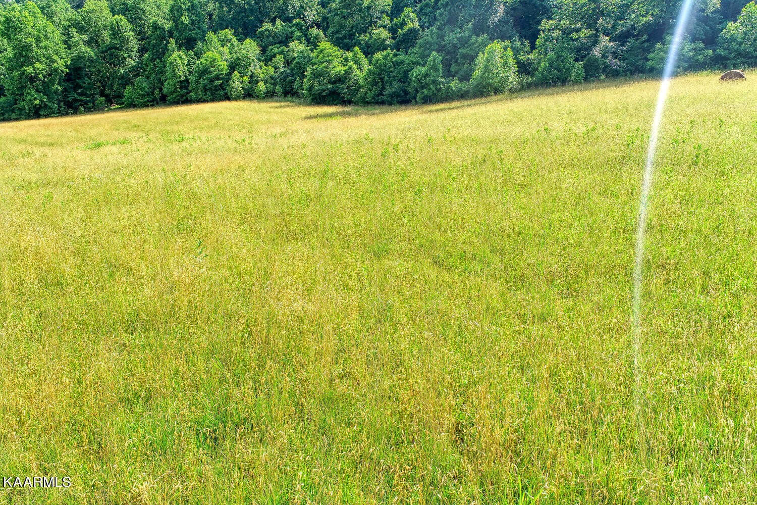 0 Richards Road Rogersville, TN 37857 - Photo 26 of 30 Gallery Image 26