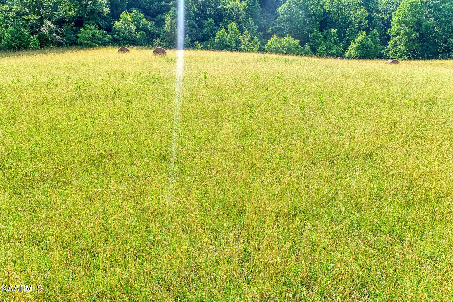 0 Richards Road Rogersville, TN 37857 - Photo 27 of 30 Gallery Image 27