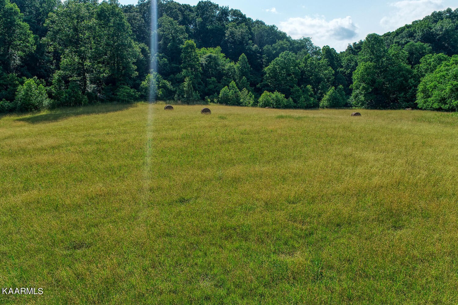 0 Richards Road Rogersville, TN 37857 - Photo 3 of 30 Gallery Image 3