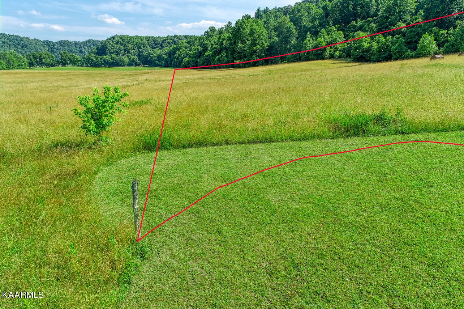 0 Richards Road Rogersville, TN 37857 - Photo 4 of 30 Gallery Image 4