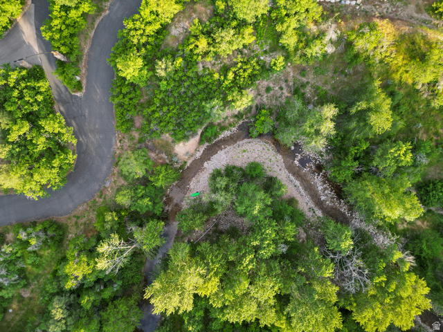 1141 South Oak Leaf Lane Springville, UT 84663 - Photo 14 of 147 Wooded parcel featuring a winding paved road and natural water feature
