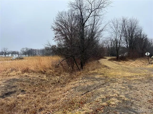 $14,000 | 0 State Highway, Medora, IL 62063