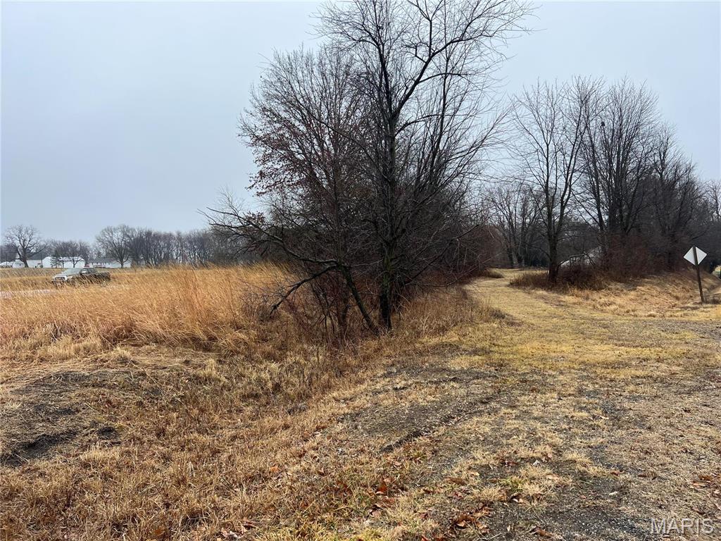 0 State Highway Medora, IL 62063 - Photo 3 of 8