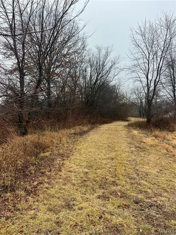 $14,000 | 0 State Highway, Medora, IL 62063