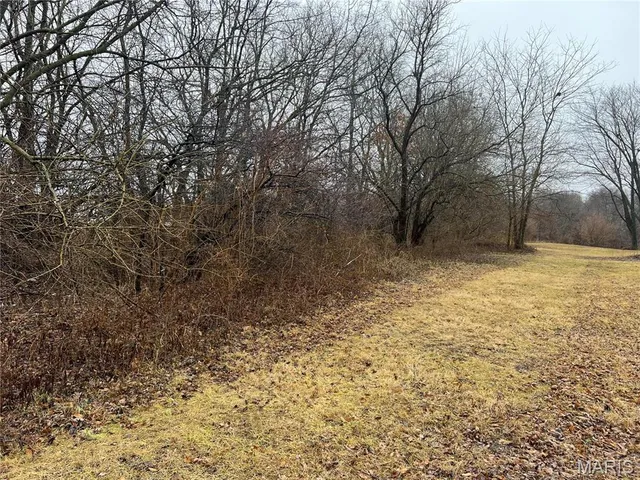 $14,000 | 0 State Highway, Medora, IL 62063