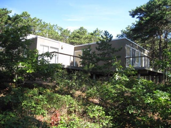 a view of a house with a yard and plants