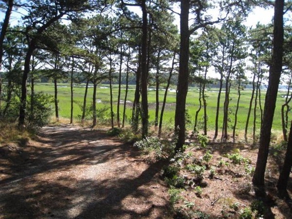 150 Anawan Road Wellfleet, MA 02667 - Photo 12 of 27