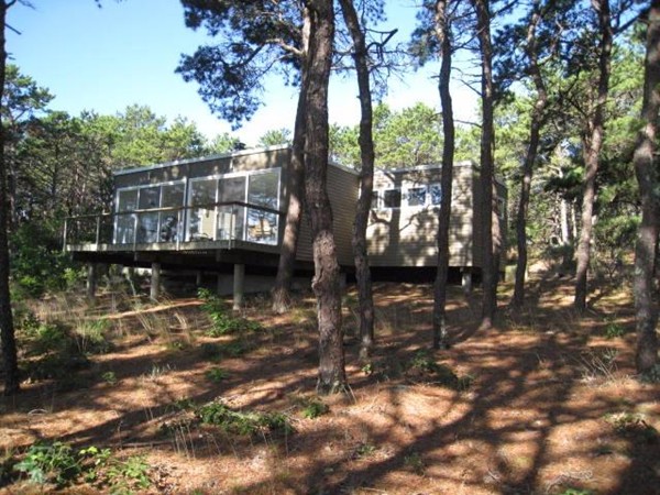 150 Anawan Road Wellfleet, MA 02667 - Photo 3 of 27 a view of outdoor space with swimming pool