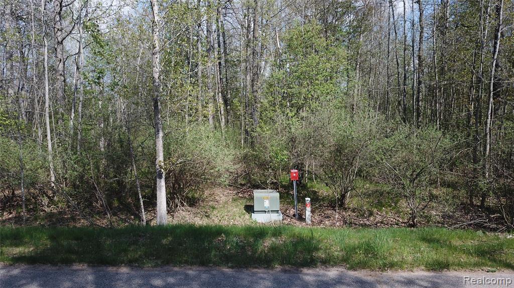 0 Oak Ridge Court Prescott, MI 48756 - Photo 13 of 20