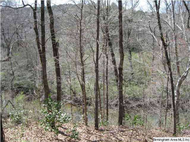 8048 River Bend Road Morris, AL 35116 - Photo 2 of 9