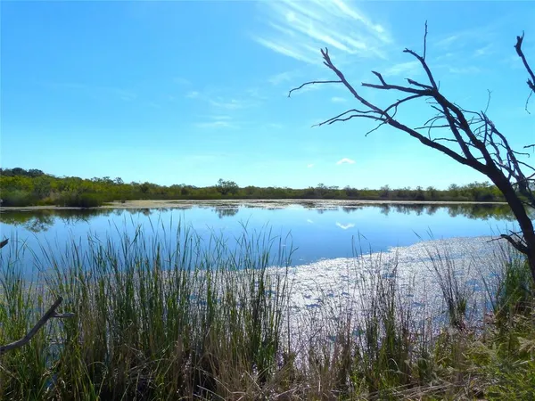 a lake view with tall trees