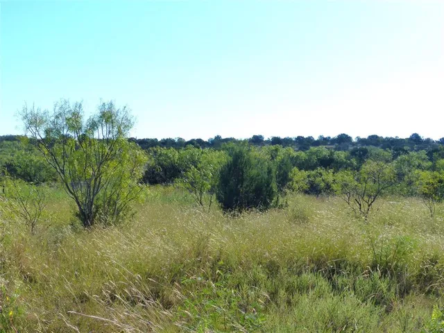 a view of a field of grass and trees