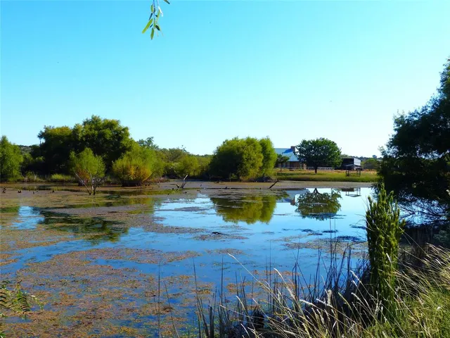 a view of a lake from a yard