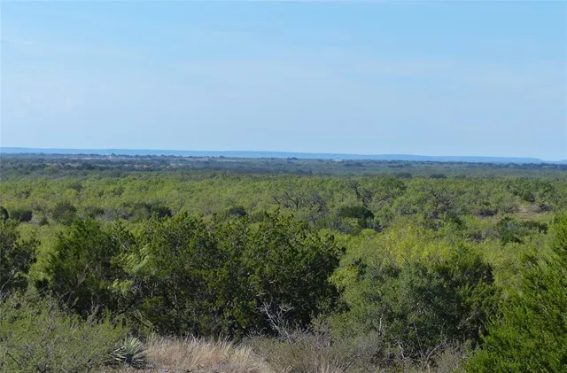 a view of a field of grass and trees