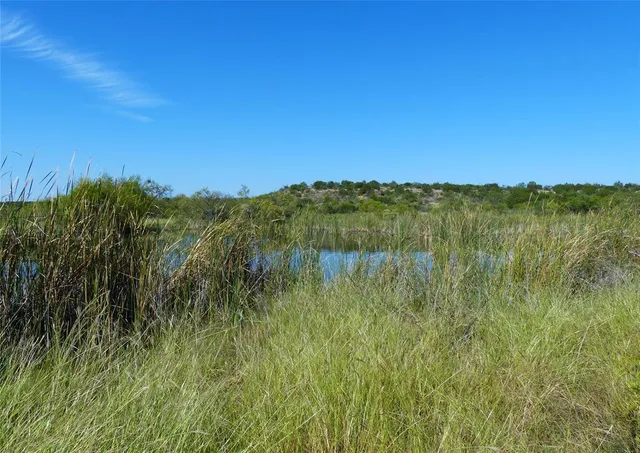a view of lake and green valley