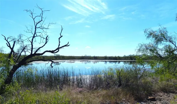 a view of a lake in a backyard