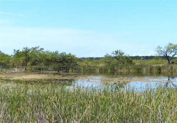 a view of lake with green space