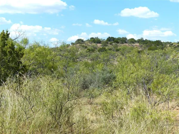 a view of a bunch of trees