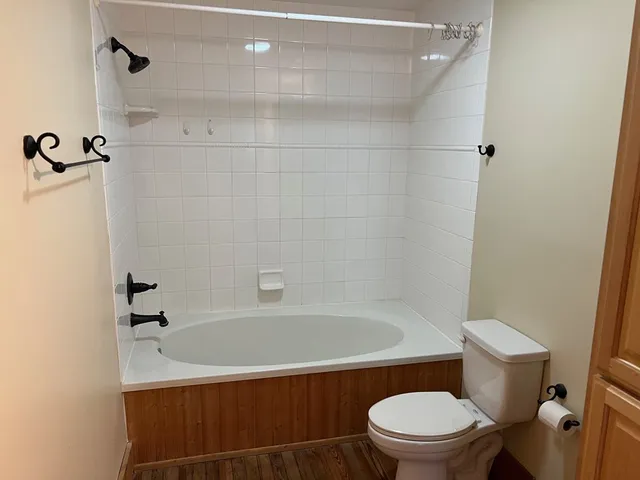 a bathroom with a toilet and a shower