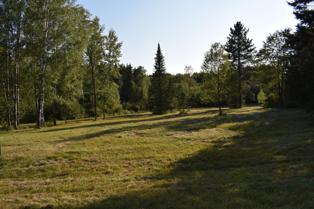 2387 Pelican Ranch Road Rhinelander, WI 54501 - Photo 7 of 8 Gallery Image 7