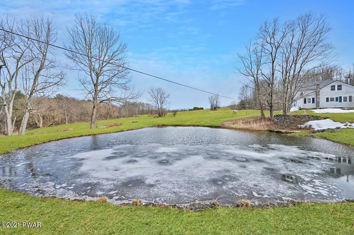 198 Daw Road Pleasant Mount, PA 18453 - Photo 7 of 61 Pond