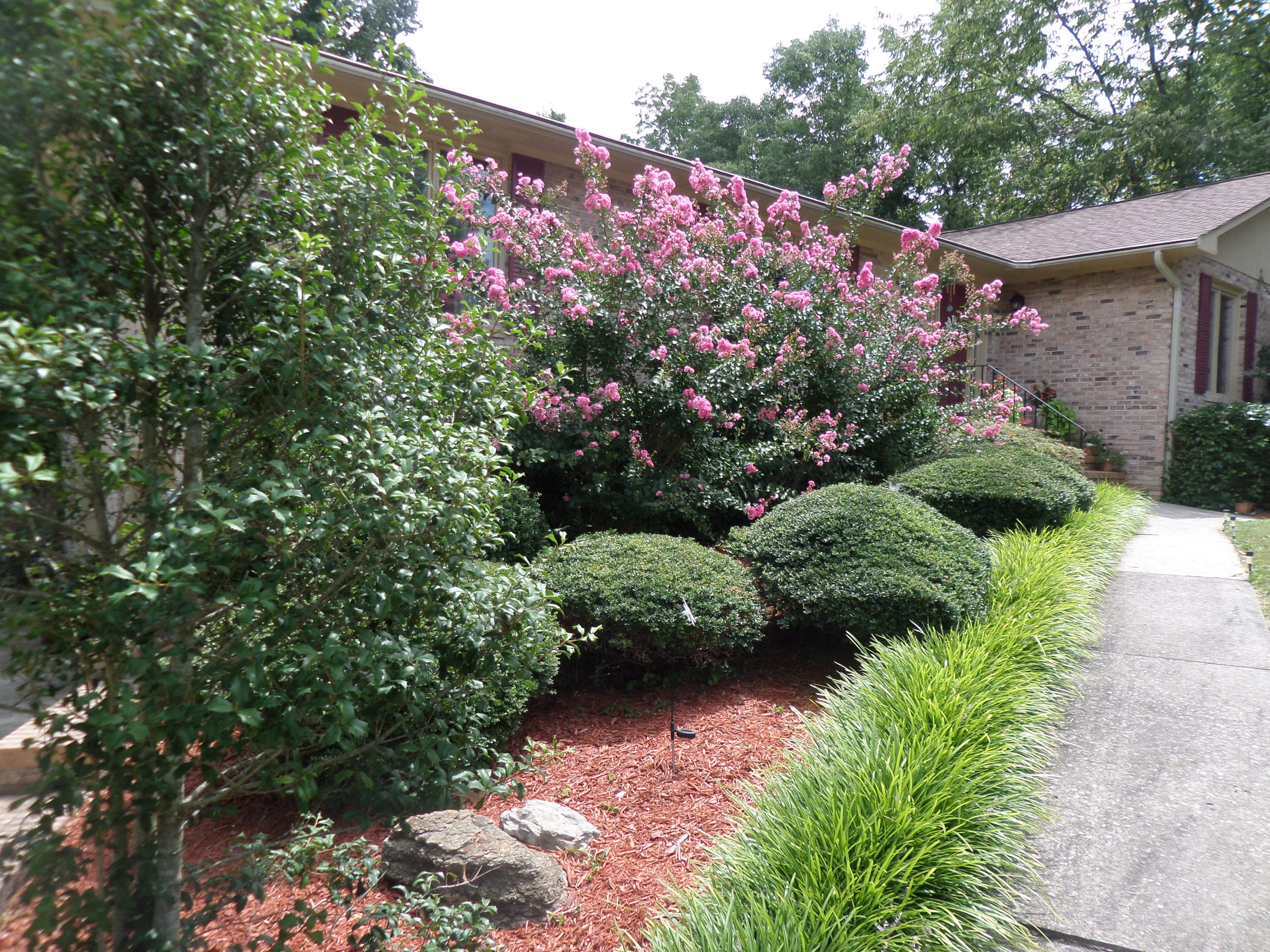 112 Claremont Road Oak Ridge, TN 37830 - Photo 2 of 34 Front landscaping