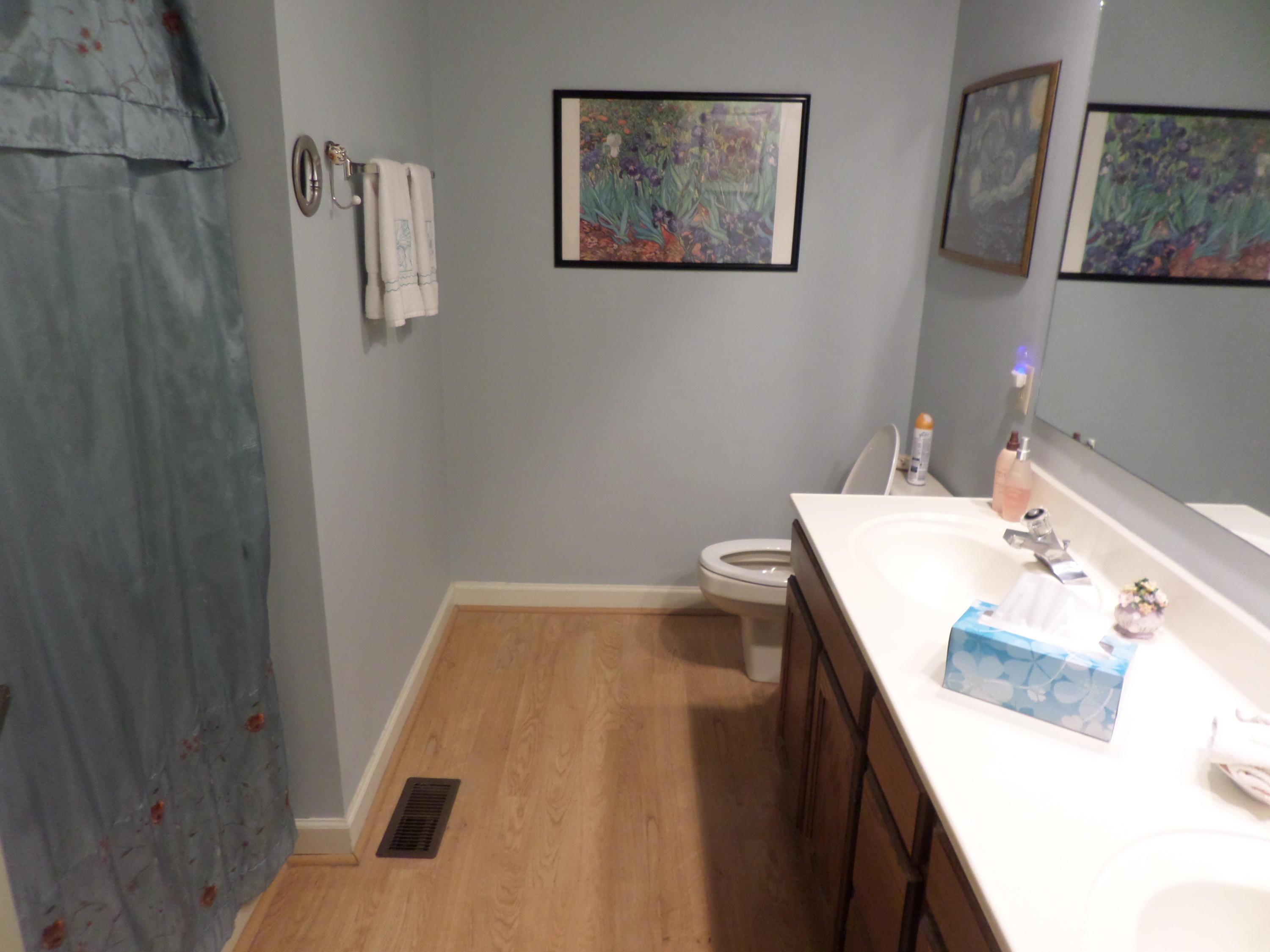 112 Claremont Road Oak Ridge, TN 37830 - Photo 17 of 34 Guest bathroom