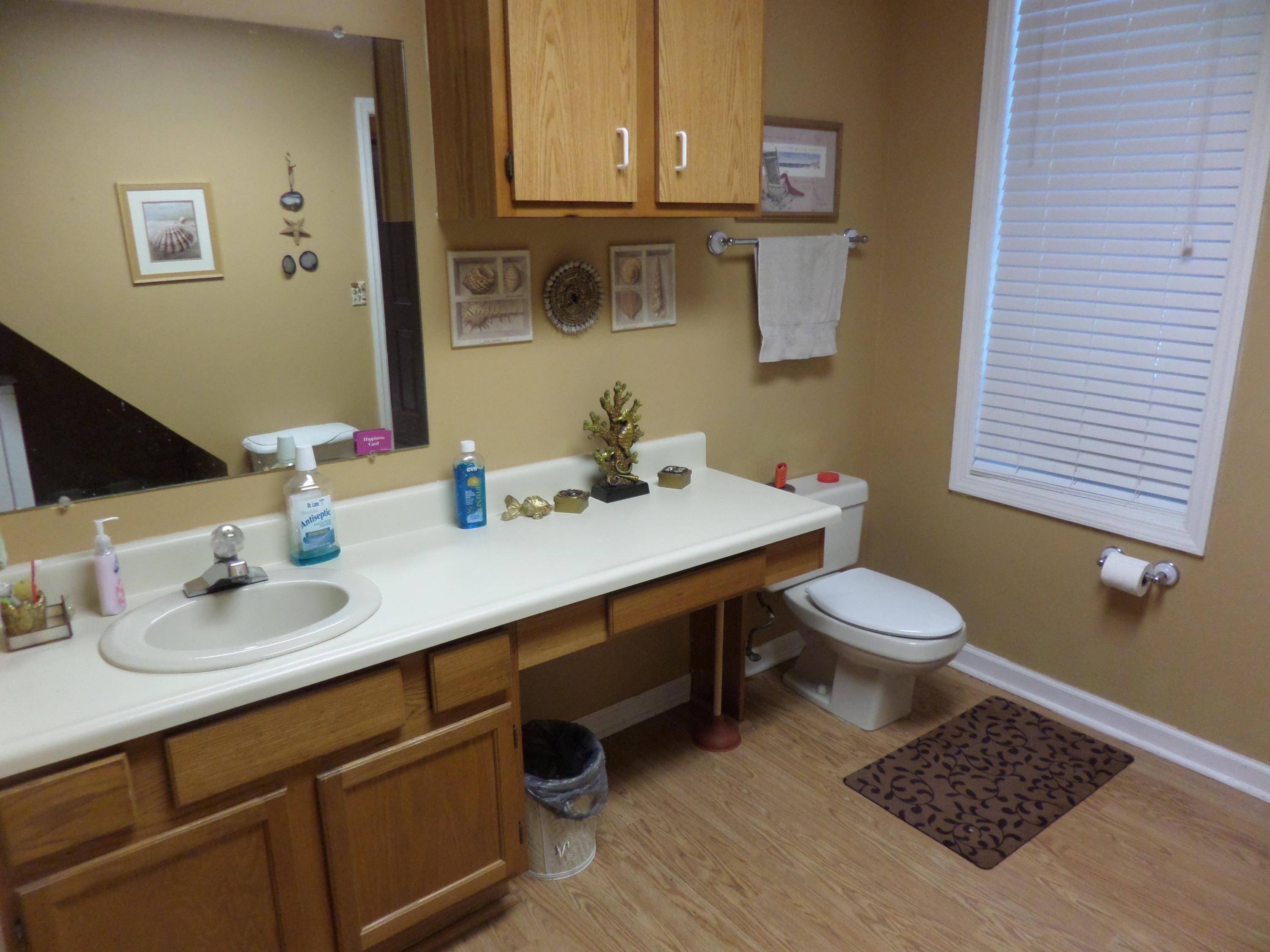 112 Claremont Road Oak Ridge, TN 37830 - Photo 24 of 34 Downstairs bath