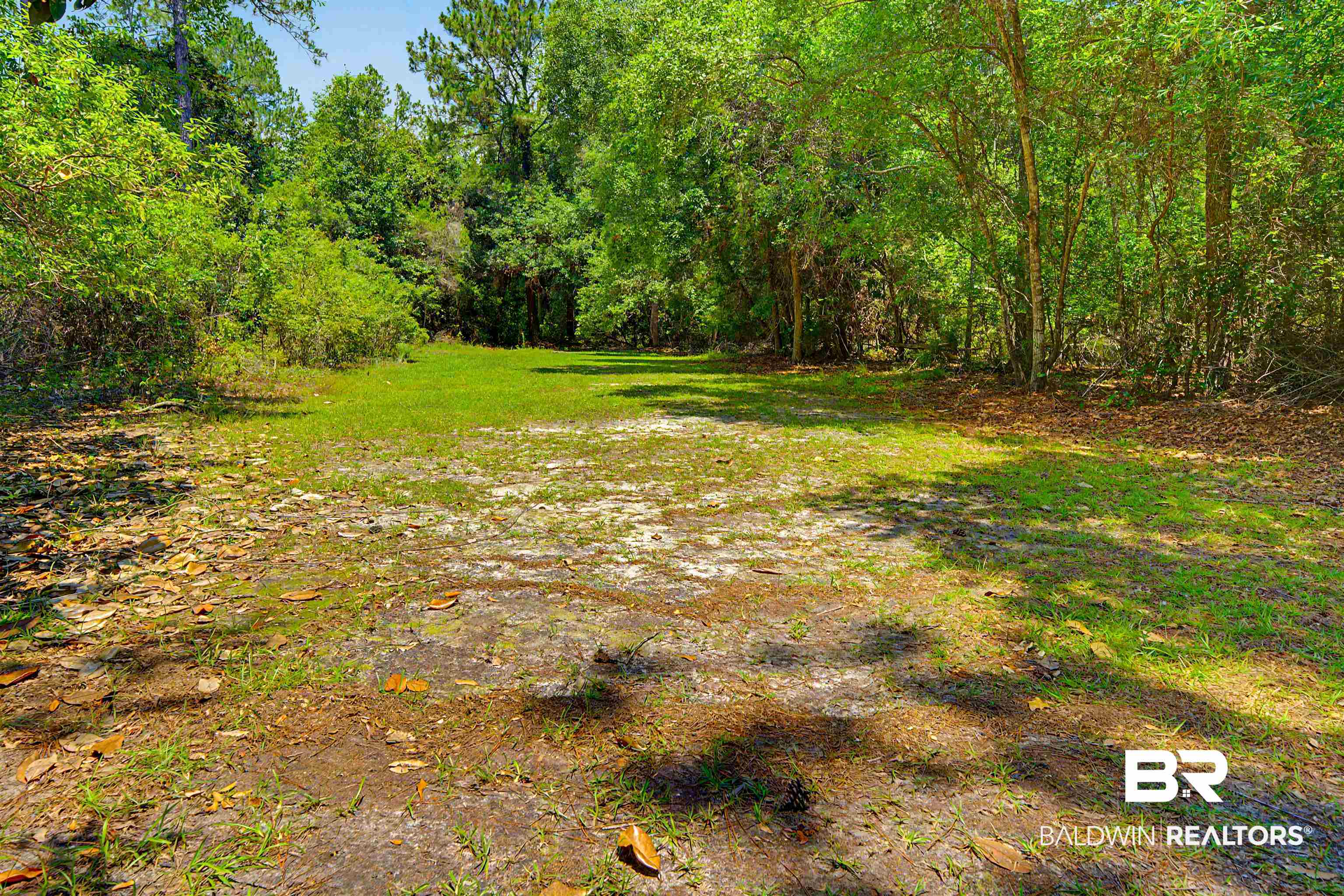 22963 Highway 98 Foley, AL 36535 - Photo 45 of 52 Open parcel featuring a clear grassy expanse surrounded by mature trees