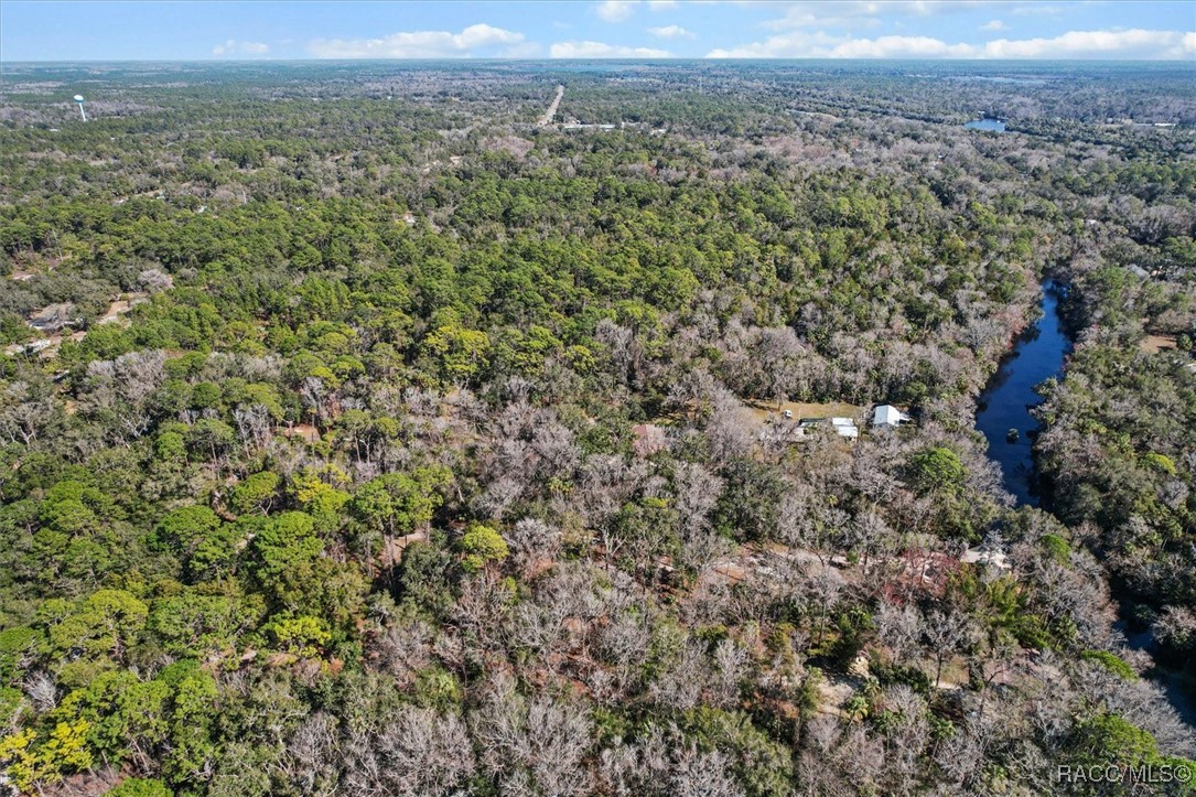 0 Our Road Inglis, FL 34449 - Photo 11 of 14