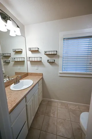 a bathroom with a sink a toilet and a mirror