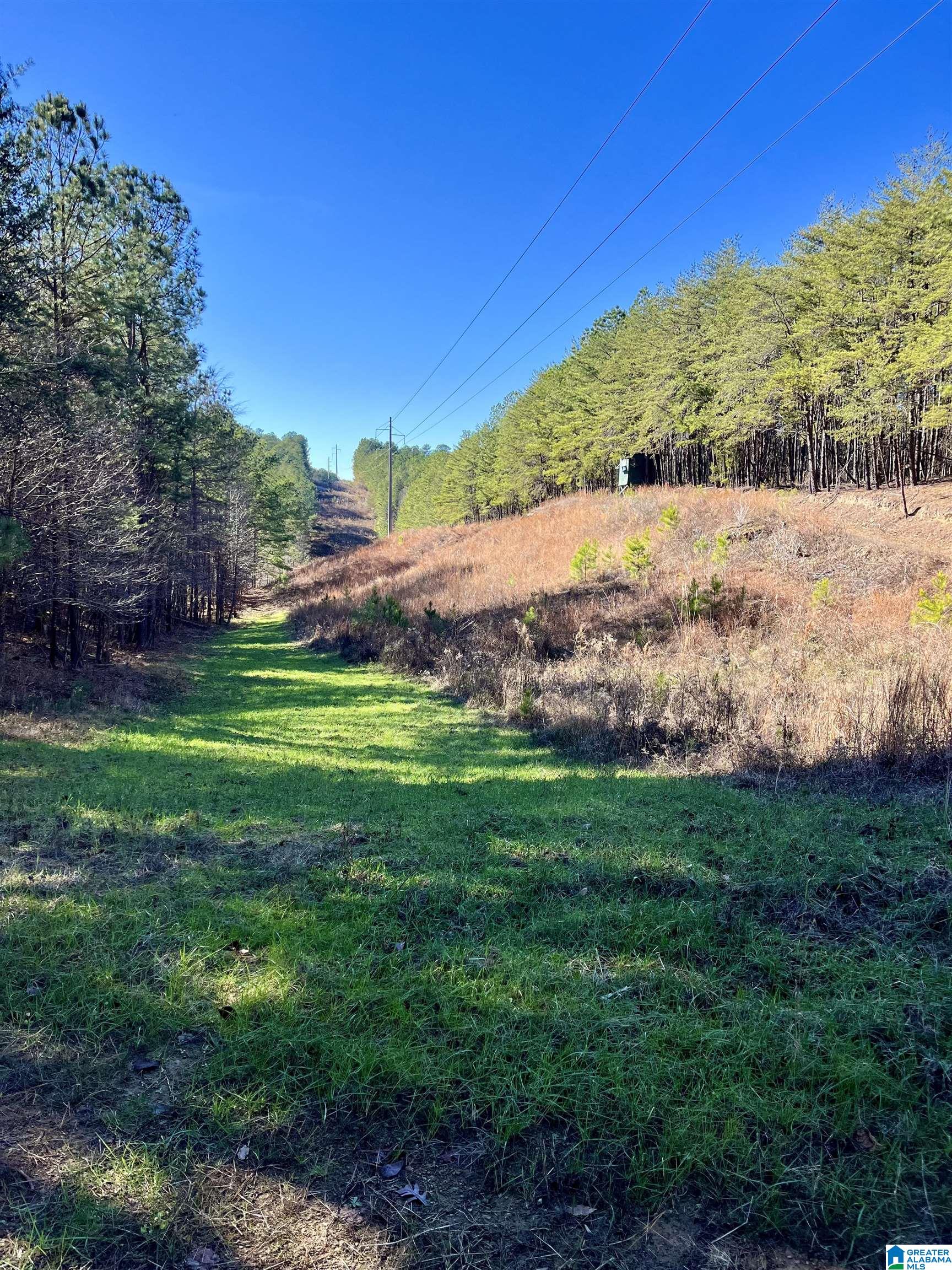 5000 Eads Uptain Road, Unit 1 2 3 4 Adger, AL 35006 - Photo 28 of 35