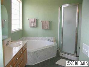 410 Bridle Path Farm Road Cleveland, NC 27013 - Photo 6 of 8 a bathroom with a bathtub and a sink