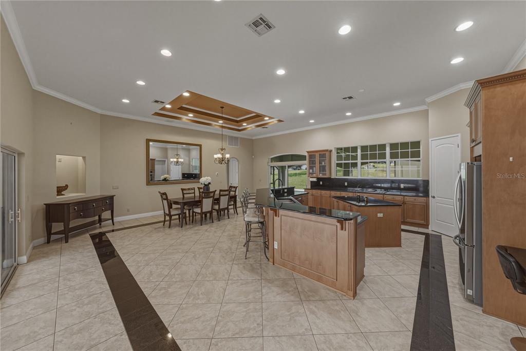 37624 Sky Ridge Circle Dade City, FL 33525 - Photo 24 of 83