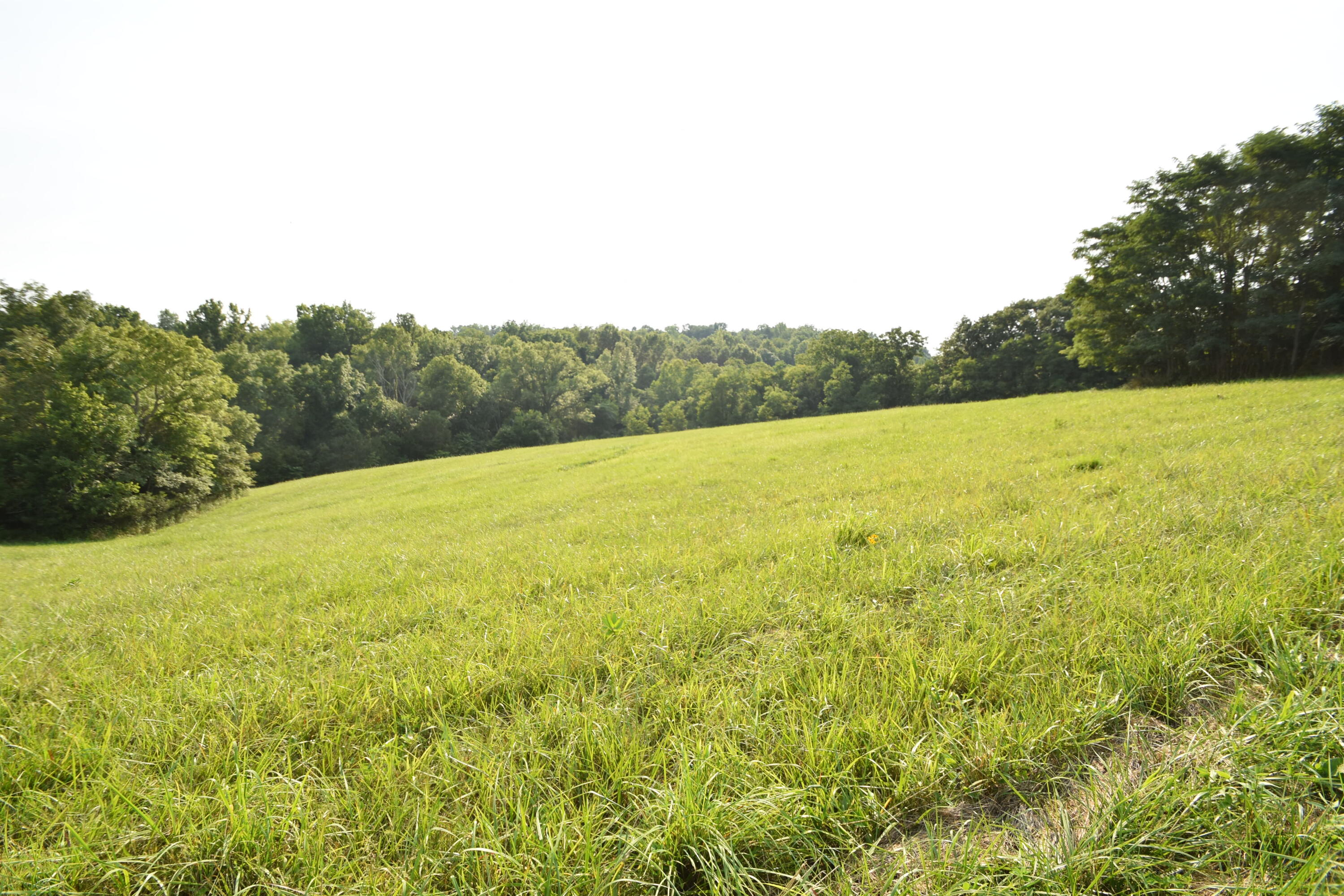580 Fallis Run Road Harrodsburg, KY 40330 - Photo 21 of 43 DSC_0343