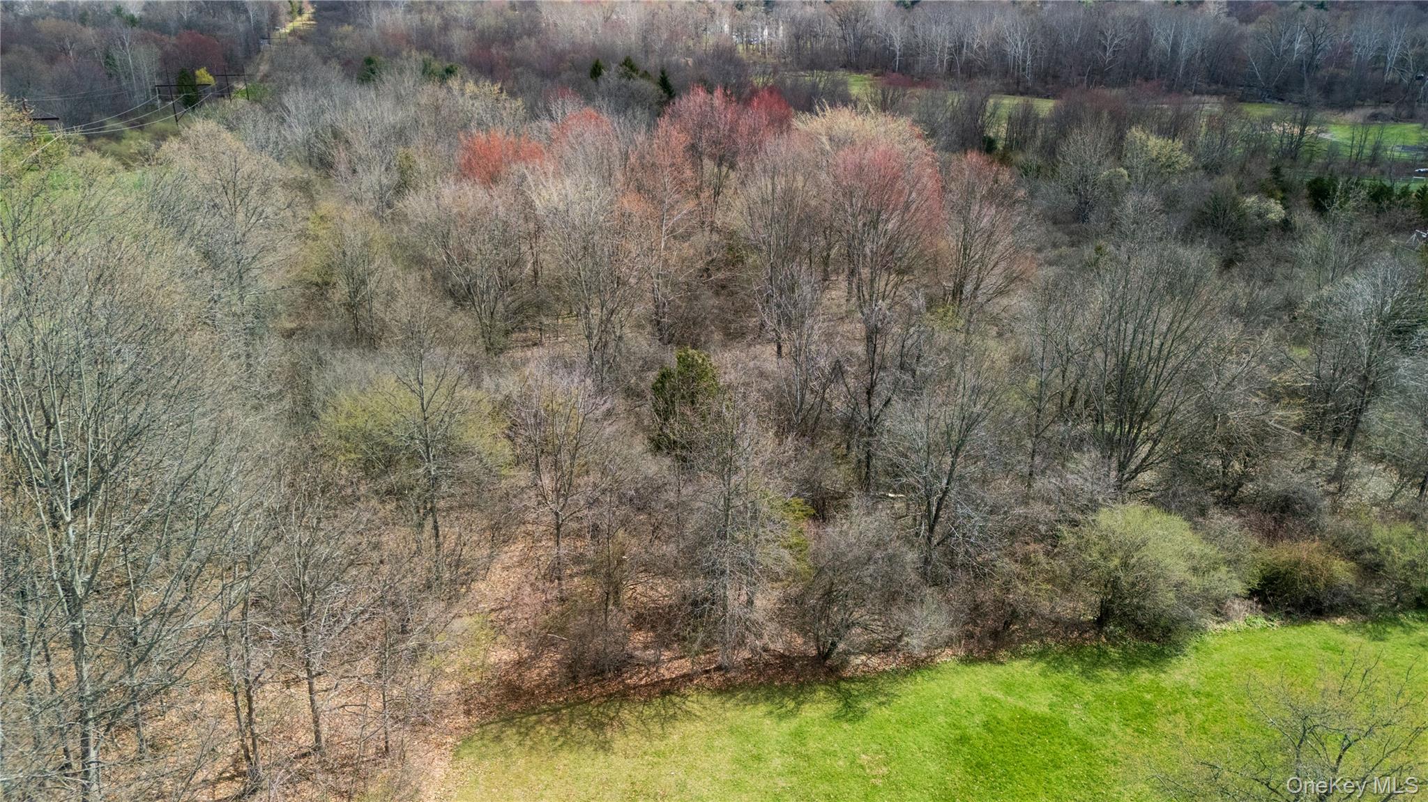 All Angels Hill Road Wappingers Falls, NY 12590 - Photo 4 of 25