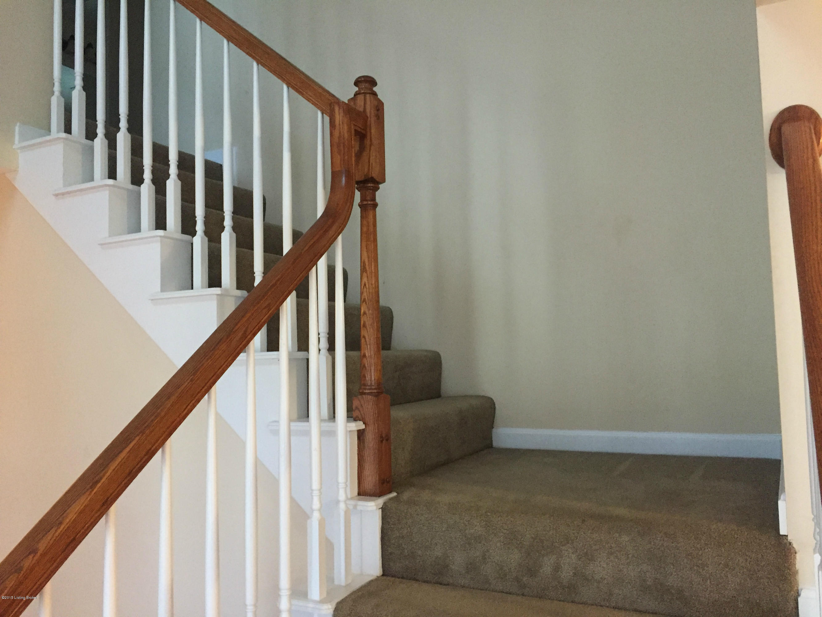 507 Trinity Drive Rineyville, KY 40162 - Photo 7 of 20 IMG_1068