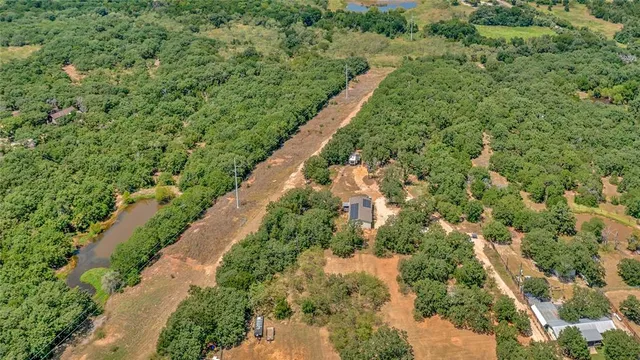 a view of a yard with a plant