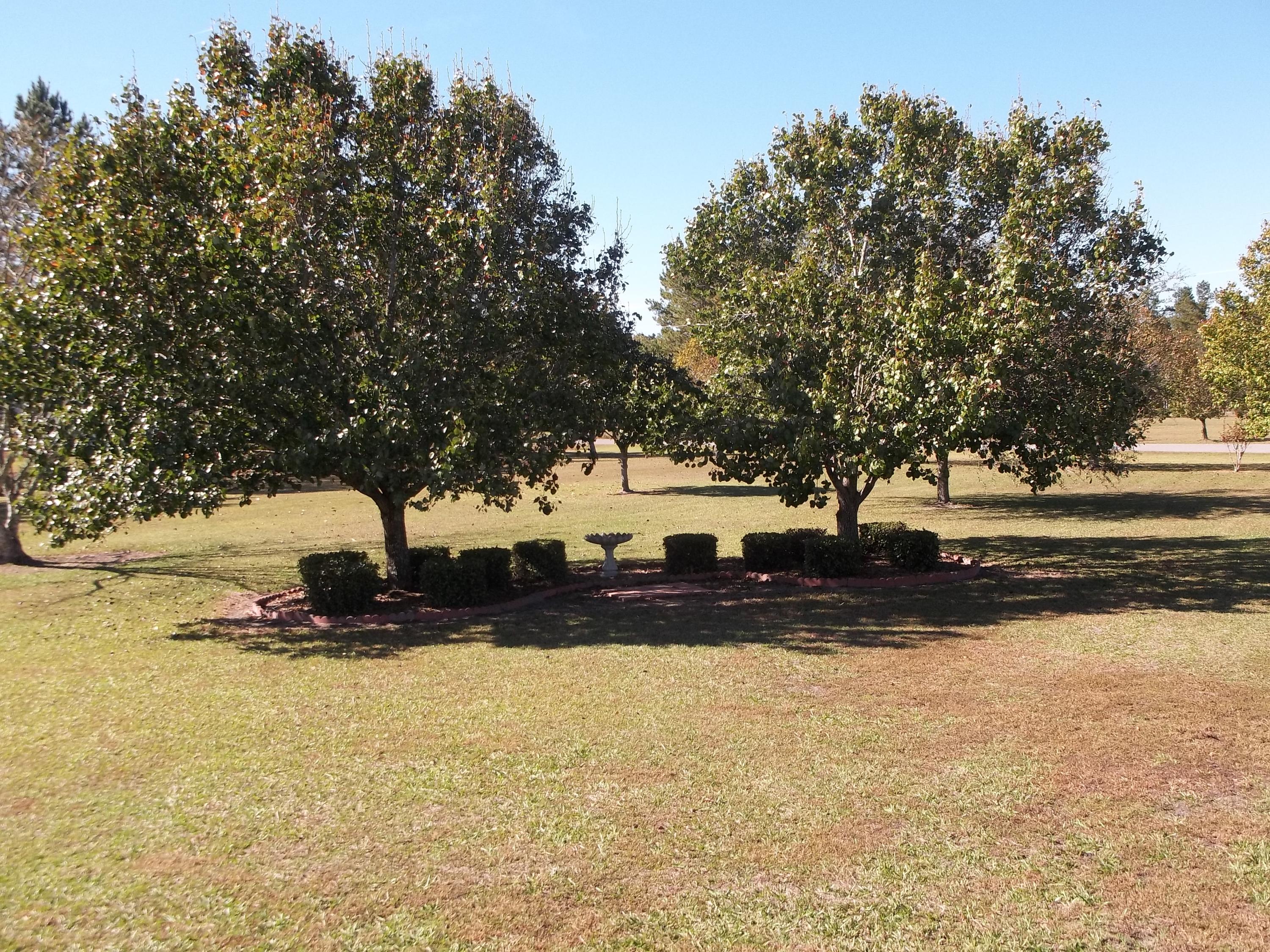 102 Mini-Farm Road Bonneau, SC 29431 - Photo 31 of 51 2016-09-26 11.37.36
