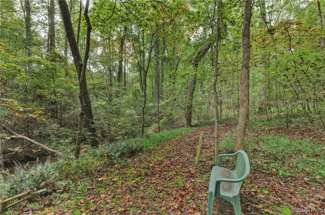 1444 Genito Road Manakin-Sabot, VA 23103 - Photo 39 of 47 a view of a yard with a trees