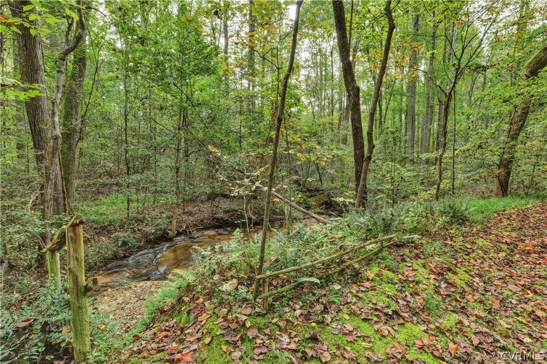 1444 Genito Road Manakin-Sabot, VA 23103 - Photo 40 of 47 a view of a forest with trees