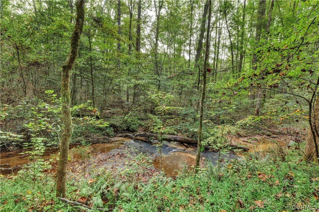 1444 Genito Road Manakin-Sabot, VA 23103 - Photo 41 of 47 a view of a forest with trees